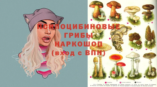 мдпв Красноперекопск