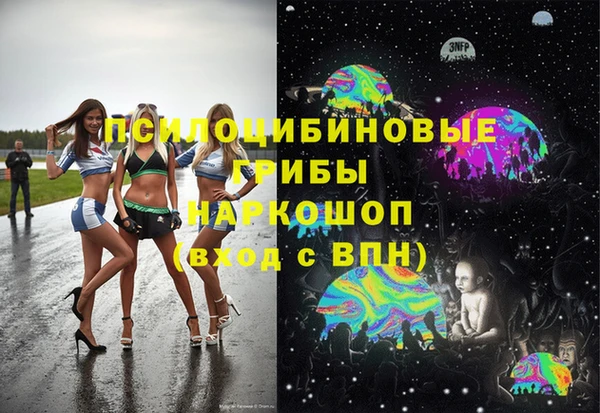 таблы Краснослободск