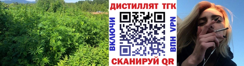 цены   Лениногорск  ТГК концентрат 