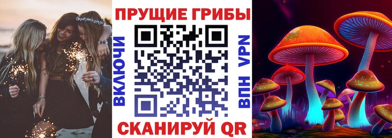 Псилоцибиновые грибы Psilocybe  Лениногорск 