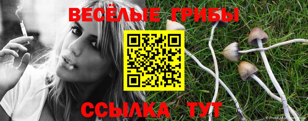Лениногорск  Псилоцибиновые грибы Psilocybine cubensis  Вход с VPN  Галлюциногенные грибы мицелий 